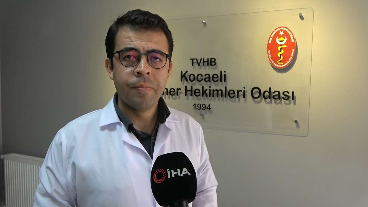 AMAN DİKKAT: 200'ÜN ÜZERİNDE HASTALIĞIN TAŞIYICISI OLABİLİRLER