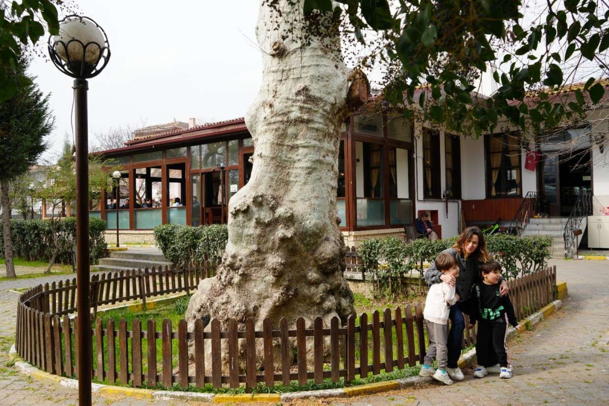 ASIRLIK ÇINARIN ALTINDA 150 YILDIR KAHVE İÇİLİYOR