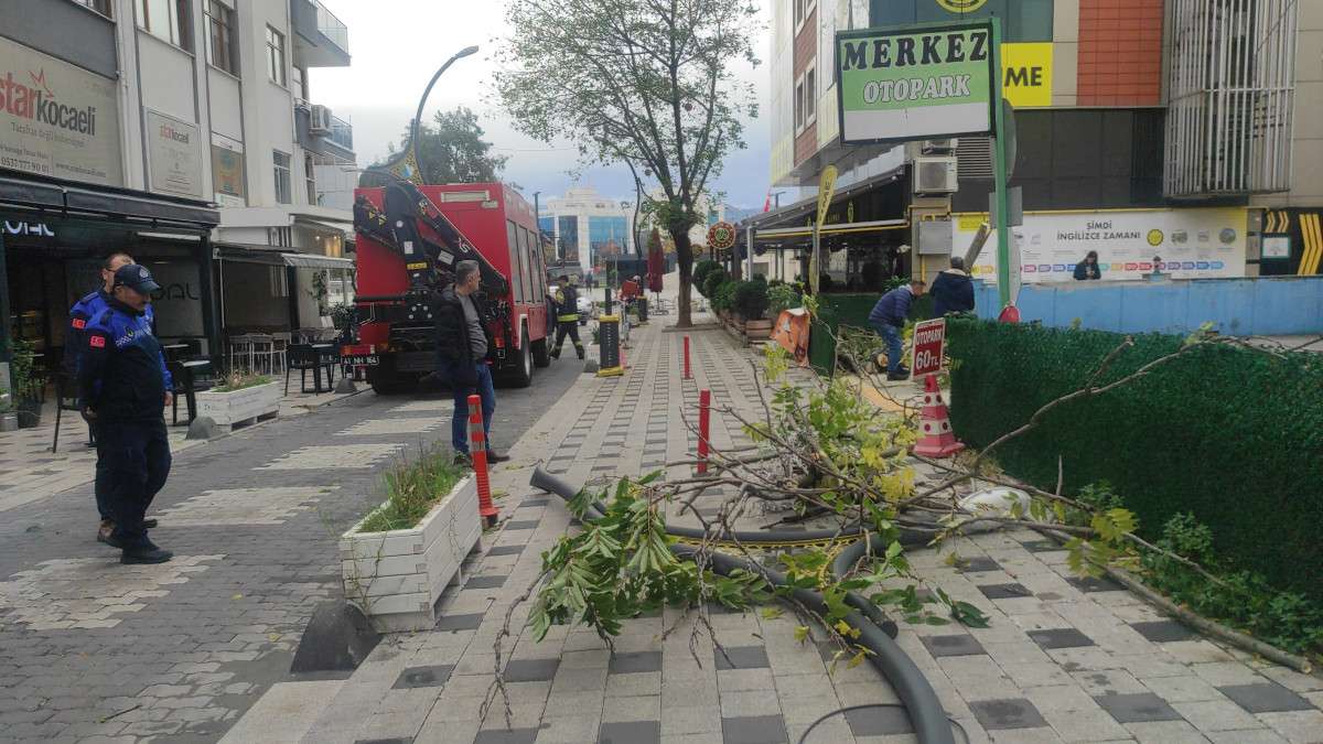 DEVRİLEN AĞACIN ALTINDA KALMAKTAN SON ANDA KURTULDU