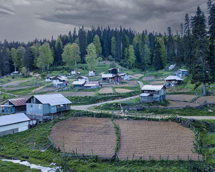 NE EKERSEN ONU BİÇERSİN 