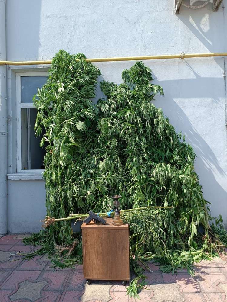 JANDARMADAN UYUŞTURUCU OPERASYONU: 1 GÖZALTI   