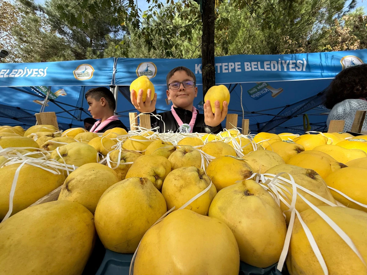 KALİTESİYLE ÜNLÜ EŞME AYVASI, FESTİVALLE GÖRÜCÜYE ÇIKTI