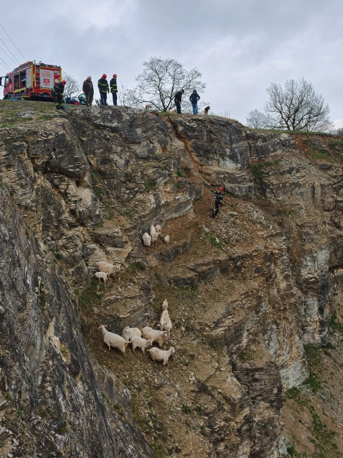 KAYALIKLARDAKİ S&Uuml;R&Uuml;YE CANSİPARANE KURTARMA