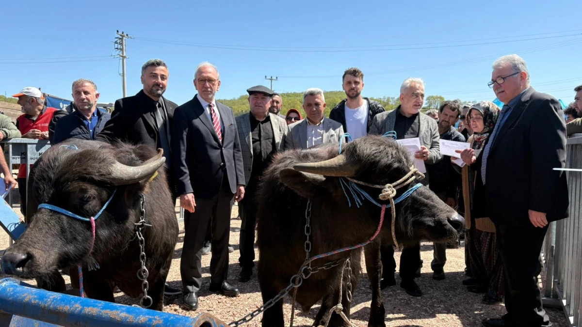 KOCAELİ'DEKİ MANDA YETİŞTİRİCİLERİNE 3,4 MİLYON LİRALIK DESTEK