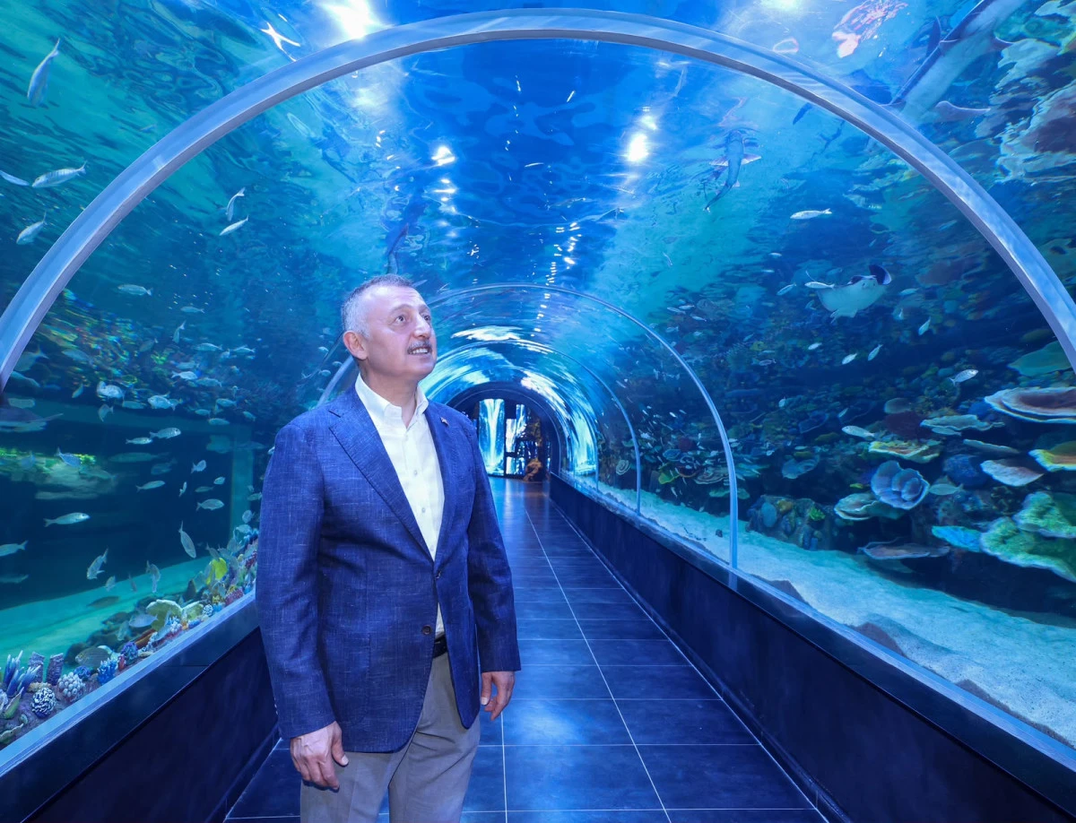K&Ouml;RFEZ AQUA KITALAR AKVARYUMU KAPILARINI A&Ccedil;IYOR
