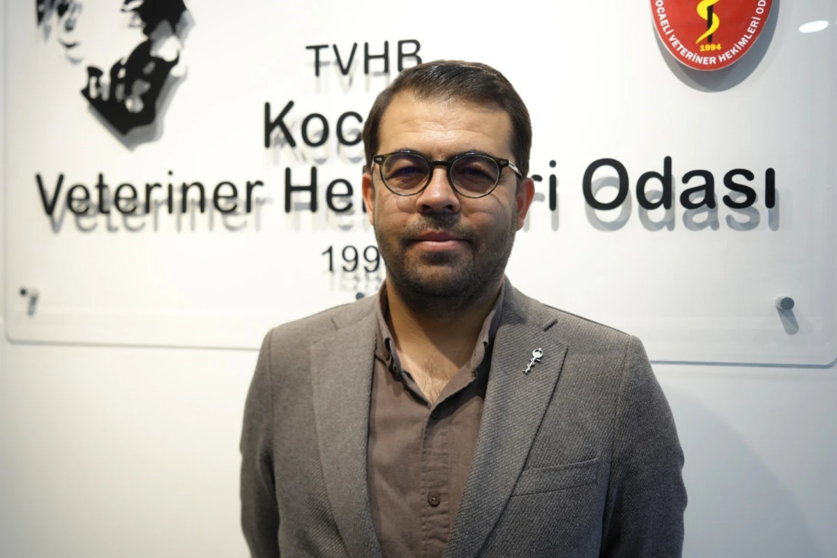 ŞAP HASTALIĞIYLA M&Uuml;CADELE AŞILAMA PROGRAMI BAŞLADI