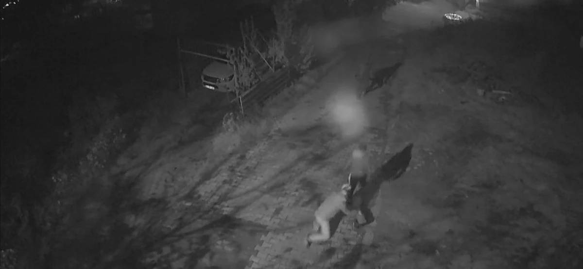 YAŞLI ADAMI YERLERDE S&Uuml;R&Uuml;KLEYİP BİRİKİMİNİ &Ccedil;ALAN 3 Ş&Uuml;PHELİ YAKALANDI